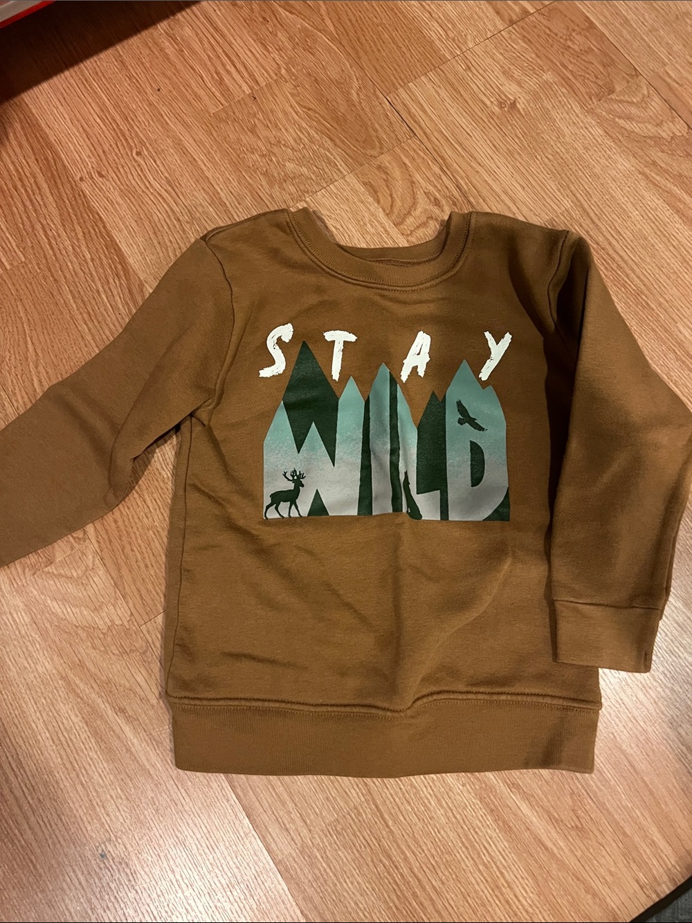 Garanimals Brown Crewneck Sweatshirt with Green 'Stay Wild' Mountain Graphic